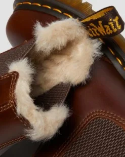 Botas Chelsea 2976 Leonore Con Forro Sintético in Caramelo