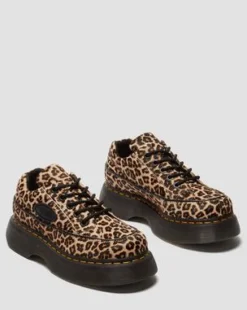 Zapato Buzz de leopardo con 5 ojales in Leopardo